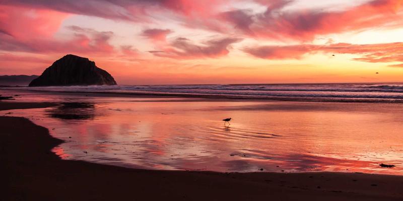 PHUNCOM《游戏67》深度评测：颠覆性玩法与争议漩涡中的现象级作品