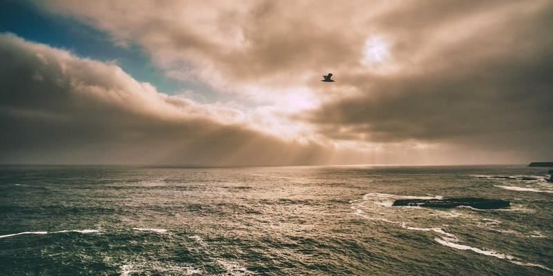 PHUNCOM游戏深度评测与攻略：探索隐藏玩法与制胜策略