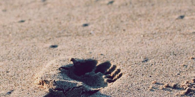 PHUNCOM观察：元宇宙如何重塑游戏社交的未来娱乐生态