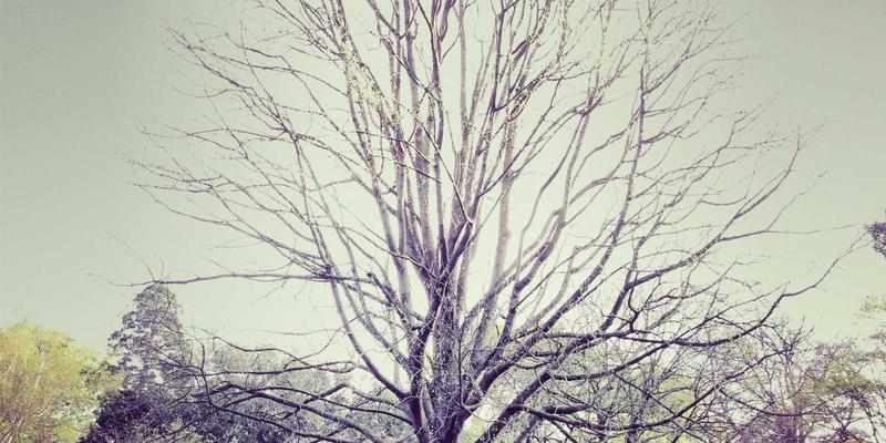 云游戏技术深度解析：对传统游戏产业的冲击与机遇 | 娱乐新闻与攻略