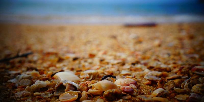 《游戏17》深度评测：颠覆性玩法与争议漩涡中的年度现象级作品