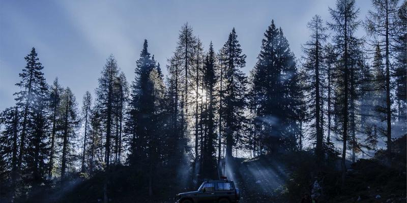 游戏47：社区互动、攻略指南与最新资讯全解析