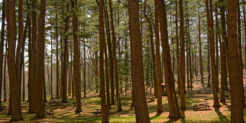 游戏53:娱乐新纪元,攻略与资讯全解析