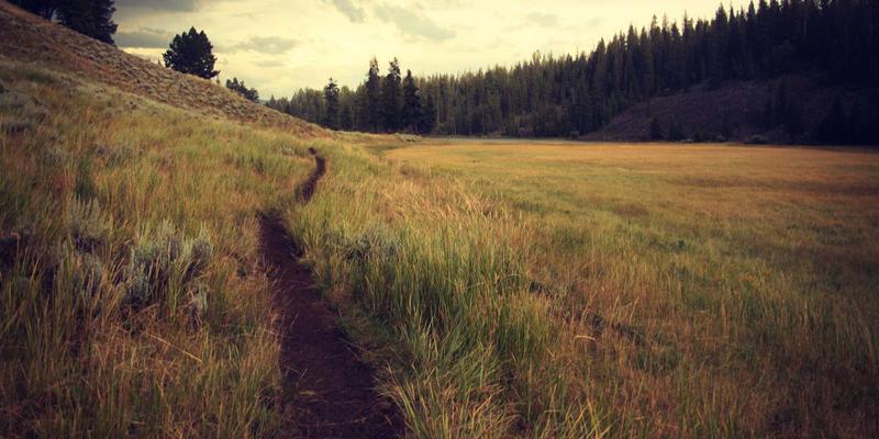 游戏64：社区、新闻与娱乐交织的数字文化生态