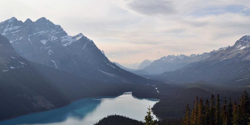 游戏81:连接玩家、新闻与未来的游戏社区新范式