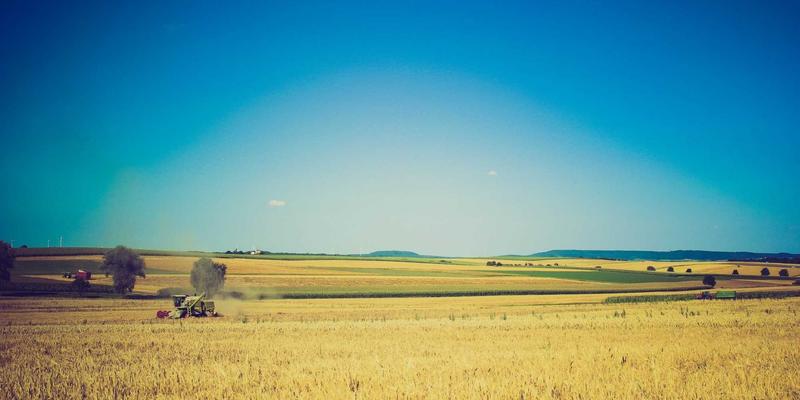 游戏96：当独立游戏遇见社区驱动的评测革命