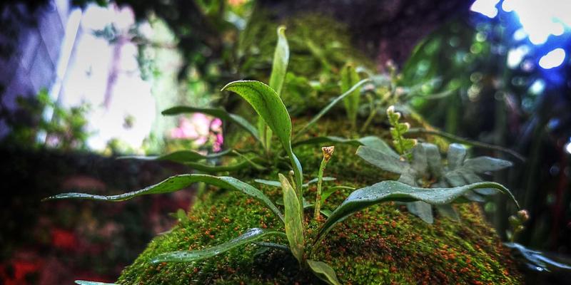 《游戏9》深度评测：社区生态与持续更新如何重塑游戏体验