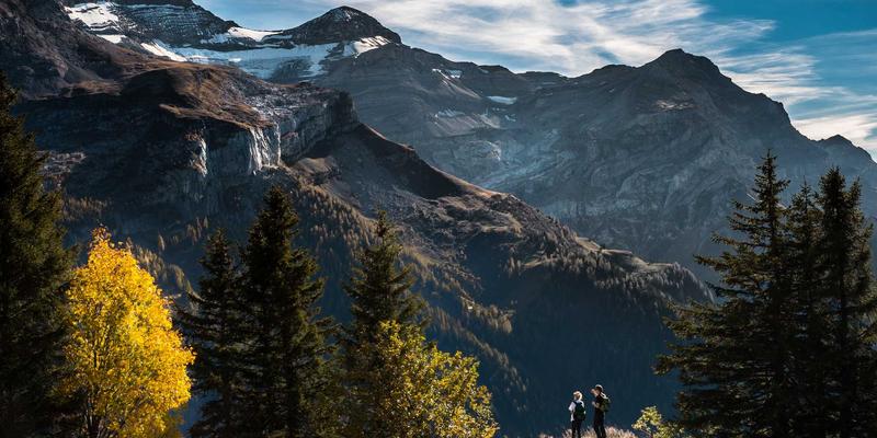 游戏数值平衡深度攻略：从经济系统到角色能力的核心算法解析