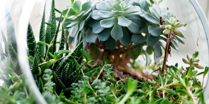 游戏无障碍设计进展：资讯、娱乐与攻略如何为更广泛玩家移除体验壁垒