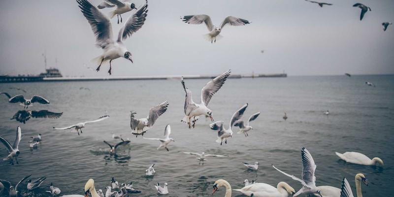 游戏本地化攻略：从文化适配到翻译质量，深度评测全球成功案例