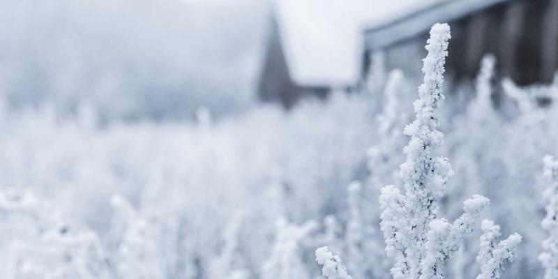游戏模组文化深度解析：玩家创意如何重塑游戏生命周期与社区生态