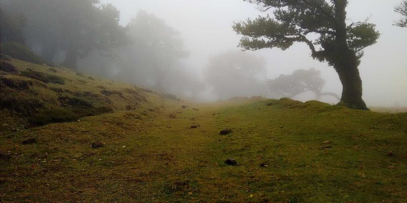 游戏资讯 | 深度解析女性向游戏市场：用户特征与内容创新趋势