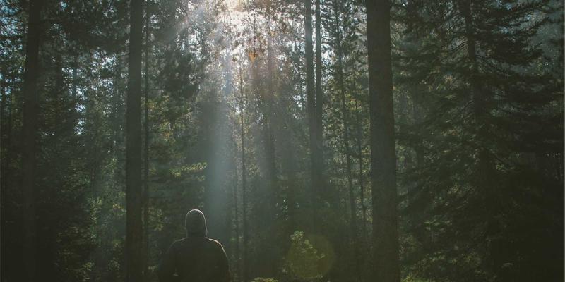 评测 | PHUNCOM娱乐视角：开放世界设计的困局与平衡艺术