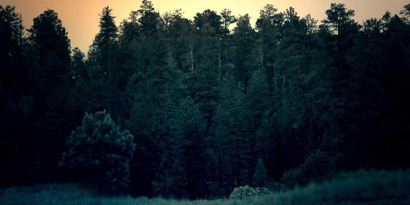 资讯、评测、新闻：三维度游戏对比指南，助你精准选择下一款游戏