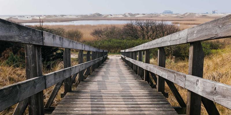 超越娱乐：严肃游戏在医疗康复与心理治疗领域的突破性应用